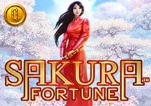 Sakura Fortune Sakura Fortune